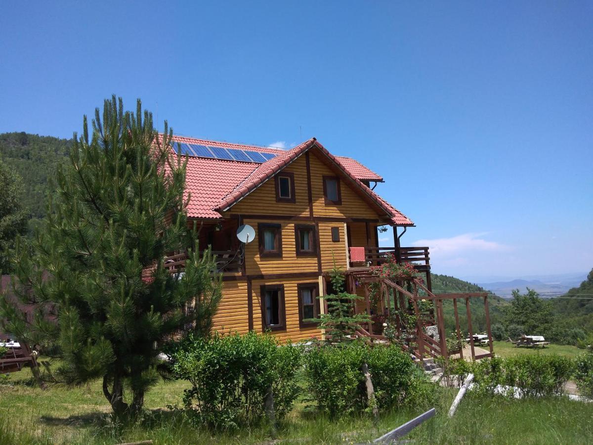 Cabana Soarelui Retezat Nucsoara  외부 사진