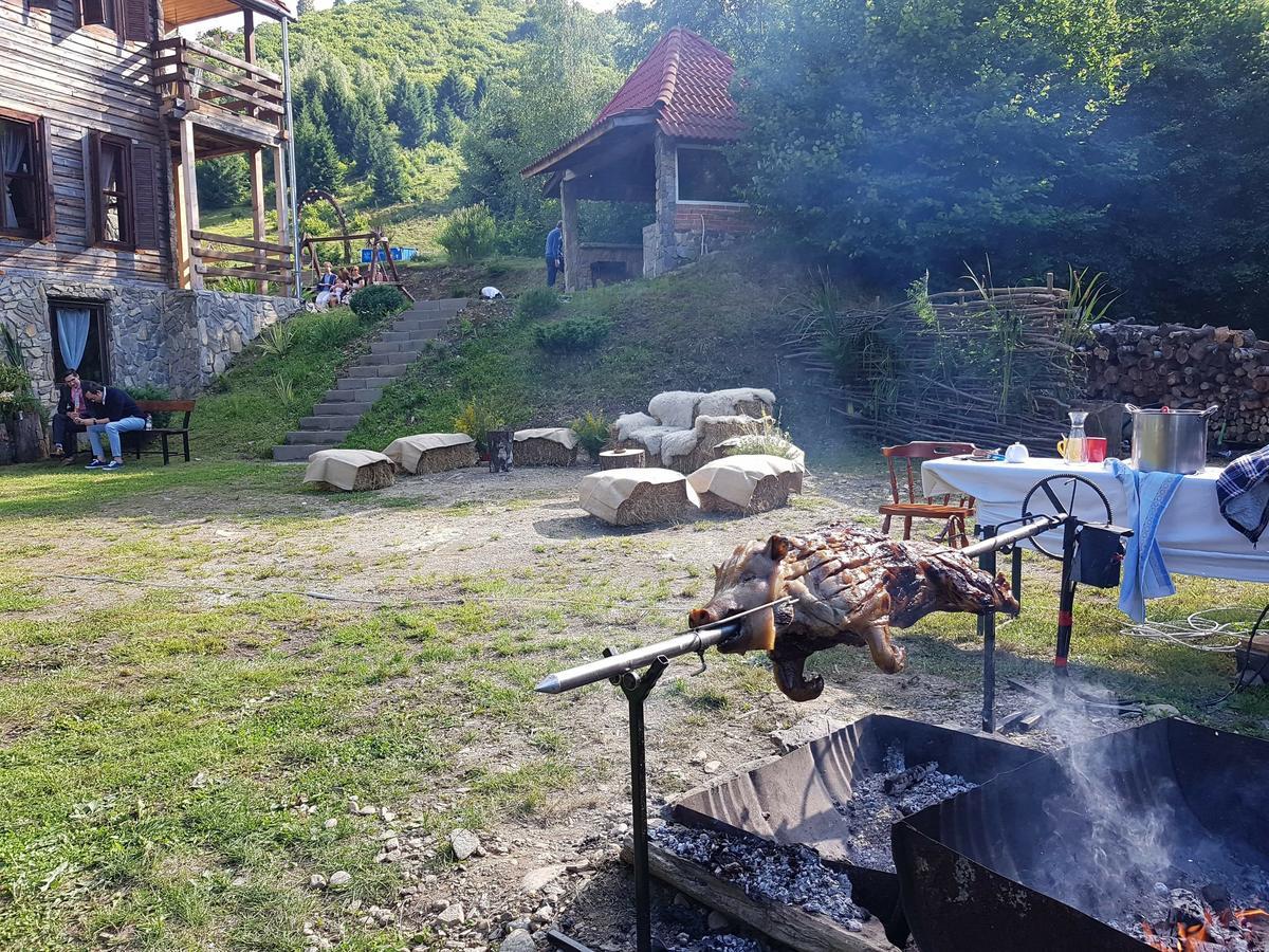 Cabana Soarelui Retezat Nucsoara  외부 사진